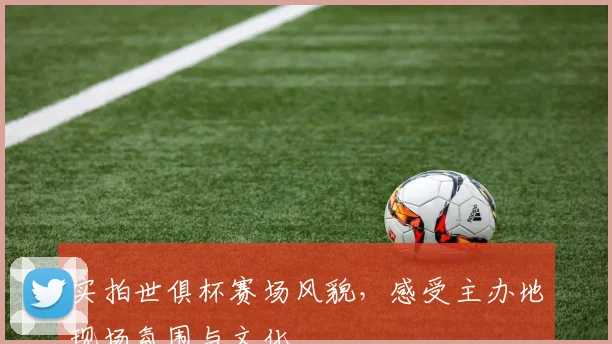 实拍世俱杯赛场风貌,感受主办地现场氛围与文化