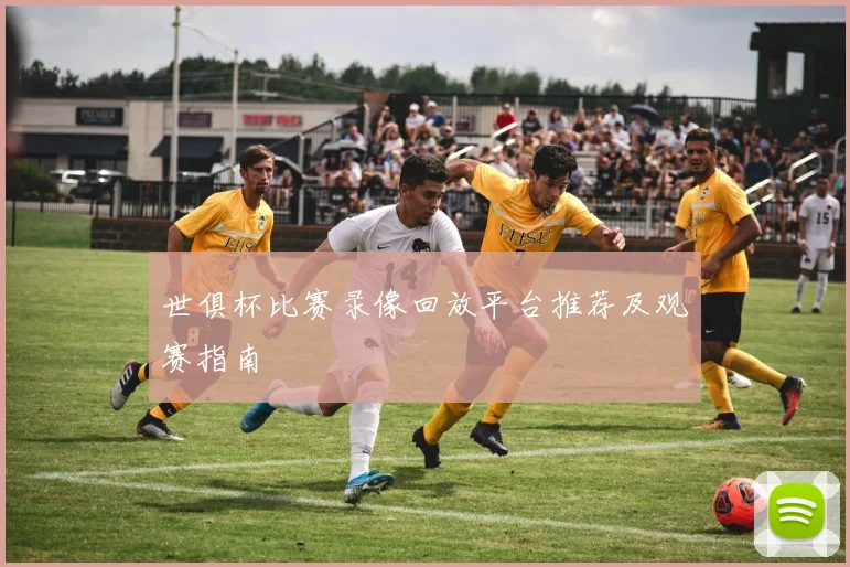 世俱杯比赛录像回放平台推荐及观赛指南
