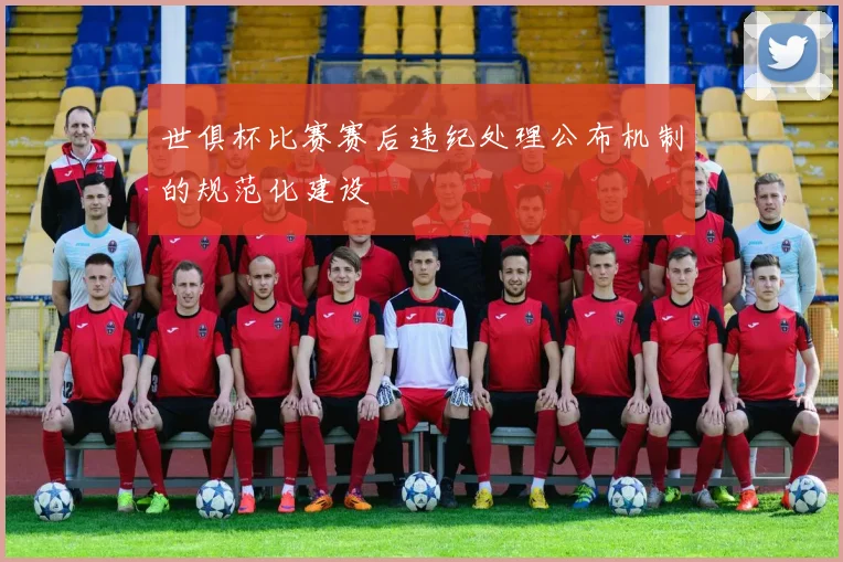 世俱杯比赛赛后违纪处理公布机制的规范化建设